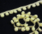 Lace Trims