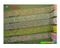 Organza Ribbon